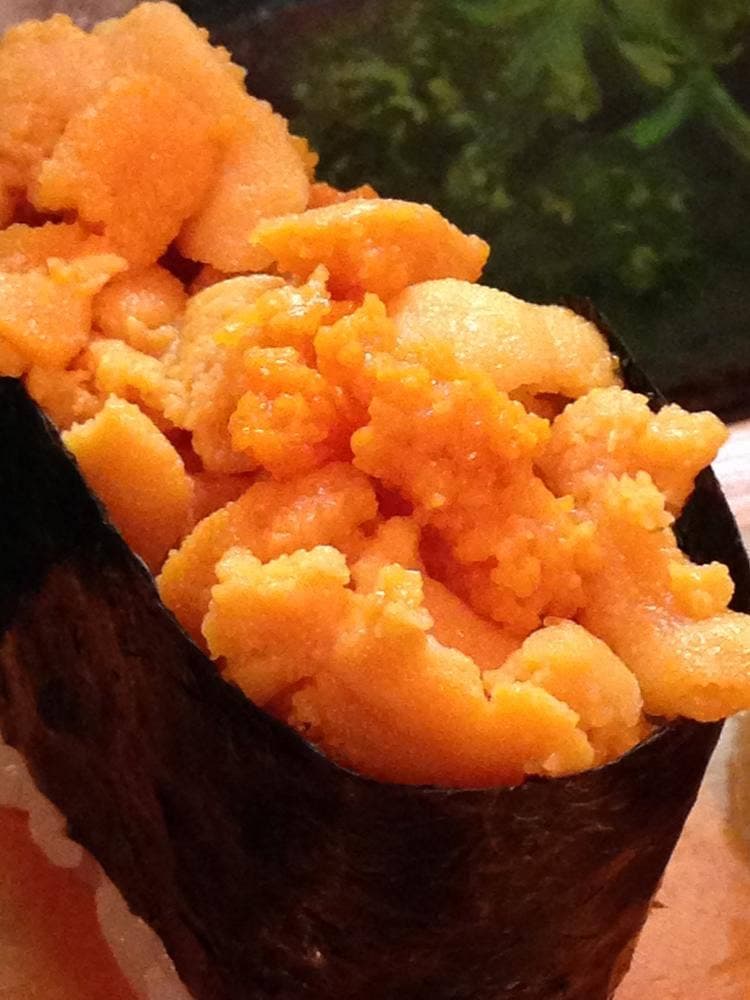 松の寿し