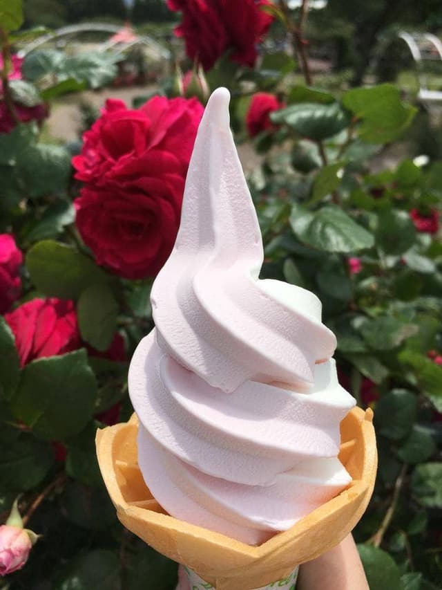 かのやばら園 ローズダイナー - サブ画像1