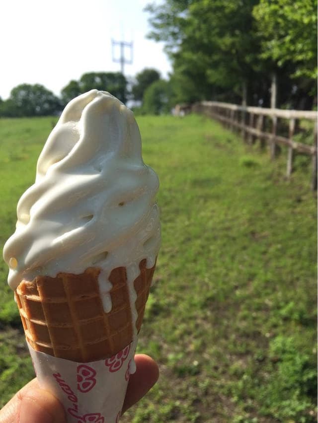 カワヨグリーン牧場カワヨグリーンロッヂ - サブ画像3