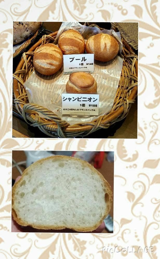 アルフォンソ