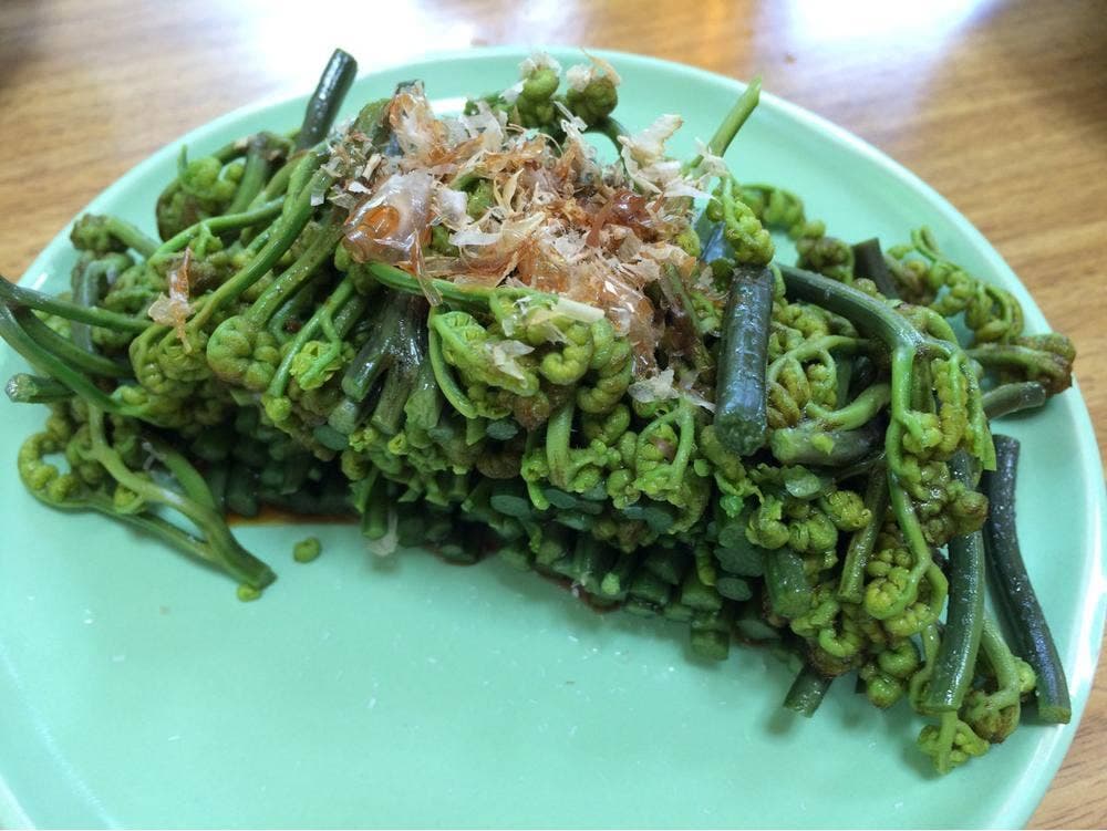お食事処かけす