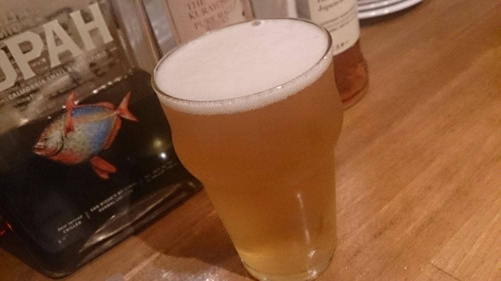 Craft Beer Bar Marciero