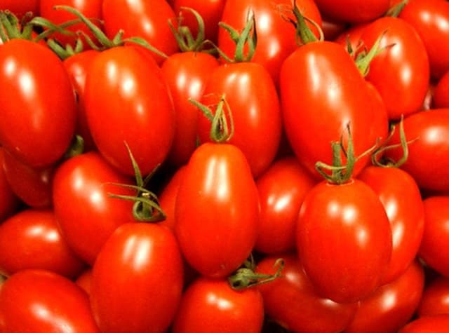 阿蘇ミルクファーム 阿蘇ファームランド - サブ画像1