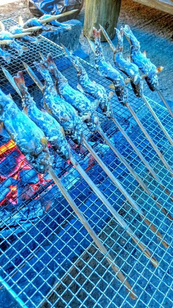 日名倉養魚場