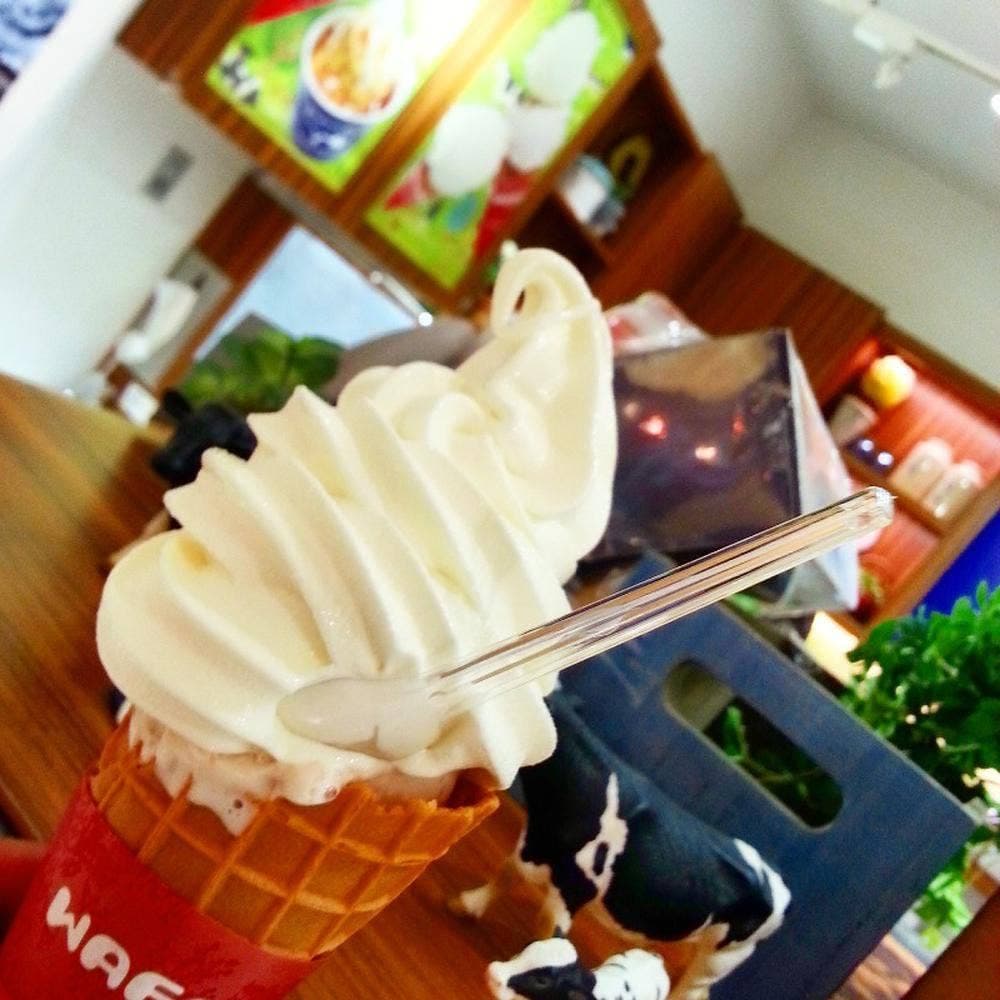 ヤスダヨーグルトショップ CoCoLo長岡店