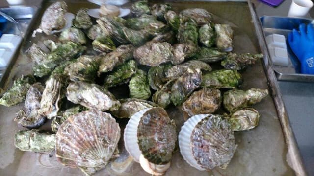 かき小屋 唐桑番屋 - サブ画像3