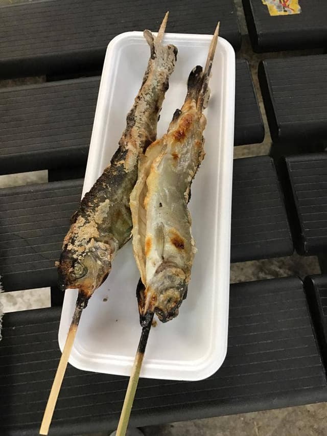 渓流釣り 軽井沢おもちゃ王国 - サブ画像1