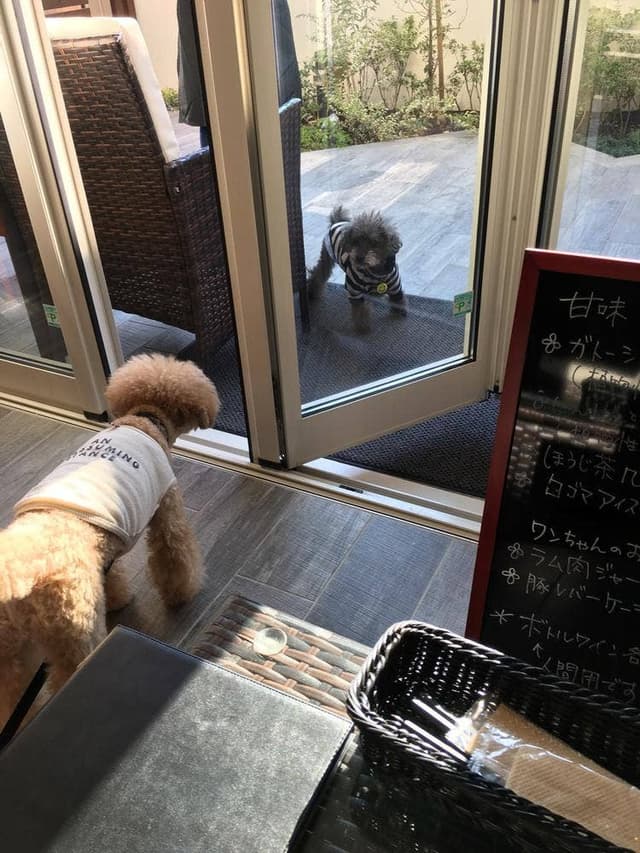 犬猫食堂 紫陽花 - サブ画像1
