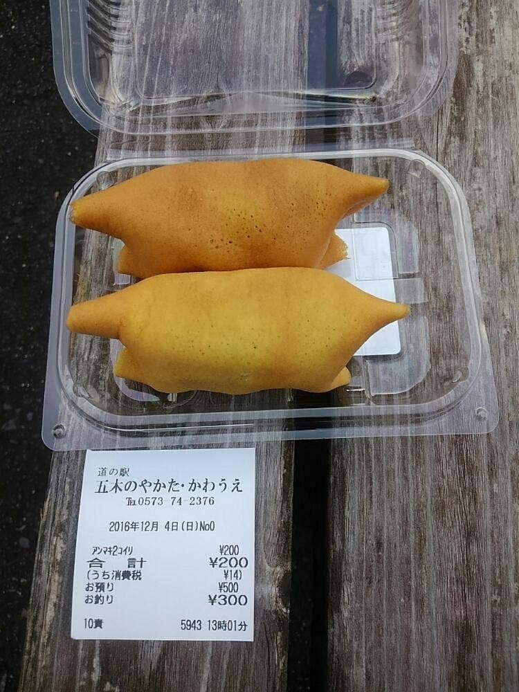 道の駅五木のやかた