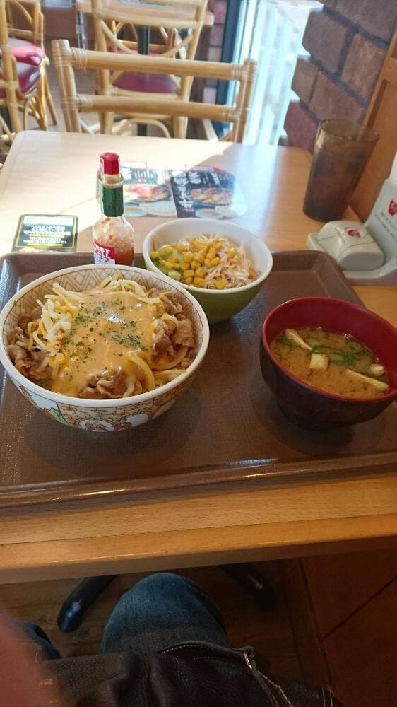すき家 221号小林店