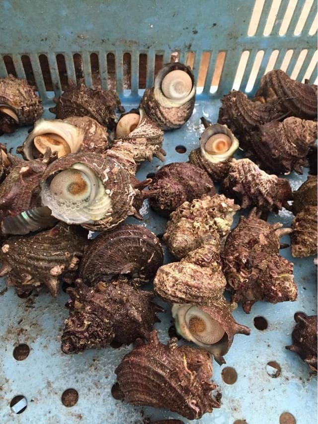 玄海みなとん里 - サブ画像3