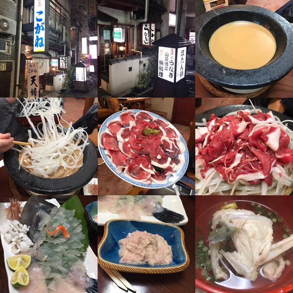 包丁處 割烹 こがね