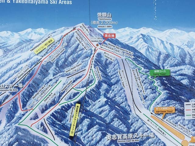 カフェ シャモア 奥志賀高原ホテル - サブ画像1