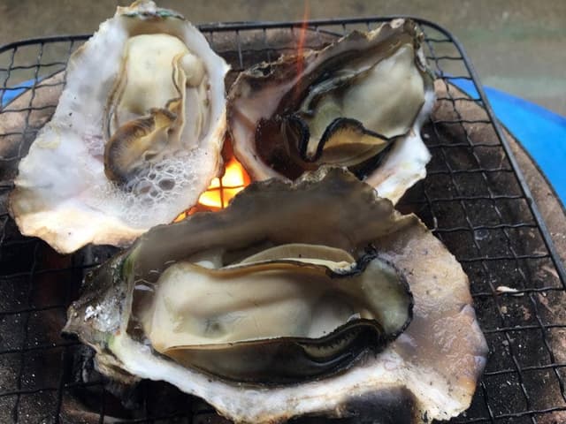 ビーチカフェ 砂浜食堂 - サブ画像1