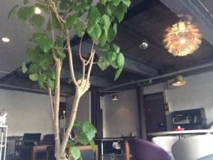 cafe Room