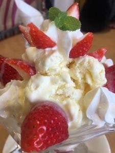 亜羅人 宮崎山形屋