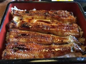 和食たにぐち