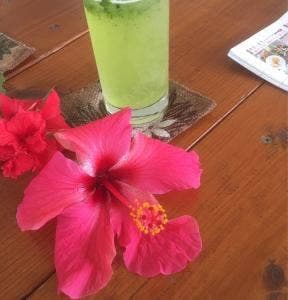 てんとむし