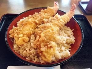 更科