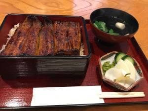 うなぎ由良川