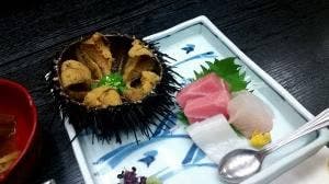 白ぎく