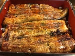 鰻家