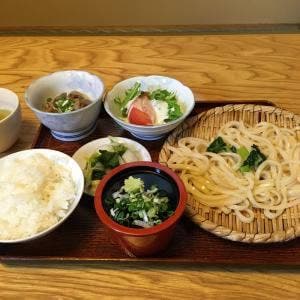 手打ちうどんふじえ