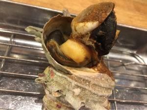 地魚屋台 ごっつぁん 浅野店