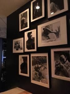 TWD GALLERY