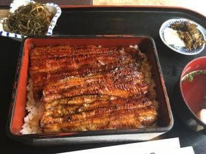 うなぎ 山口