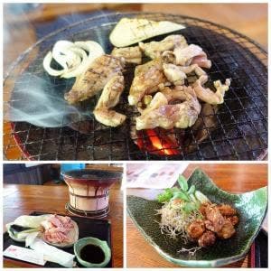 地鶏料理 とろろ庵