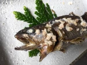森養魚場 いわなの庵