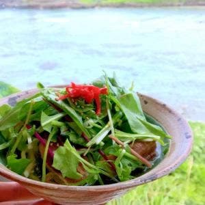 シーサイドカフェ 海遊 宮古島海中公園