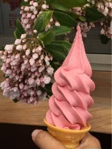 山頂カフェ 富士見パノラマリゾート