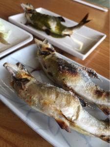 黒羽観光やな