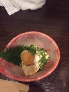和菜いぶき