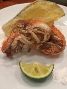 髙鮨
