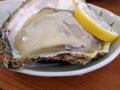 平の家