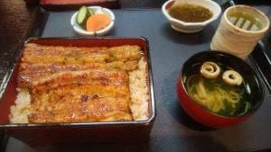 鰻 割烹 仲勢