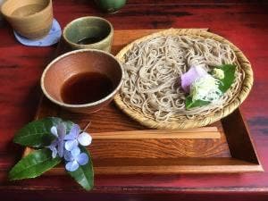 卯乃木