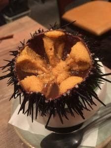 寄り処つむぎ