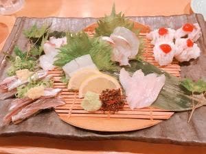魚炉目