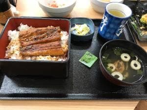 吉野家 155号線常滑店