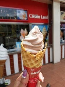 クリームランド 金立サービスエリア店