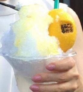夏のれもん氷店