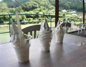 しおのえ ふじかわ牧場