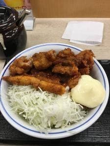 かつや 姫路野里店