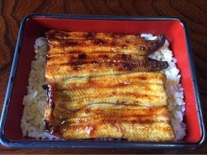 小島家