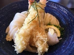 讃岐うどん 松家