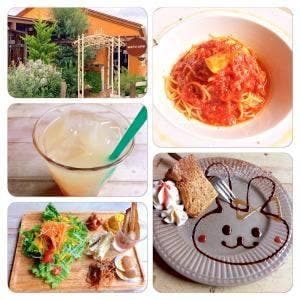 Pranzo Giustizia x my cafe